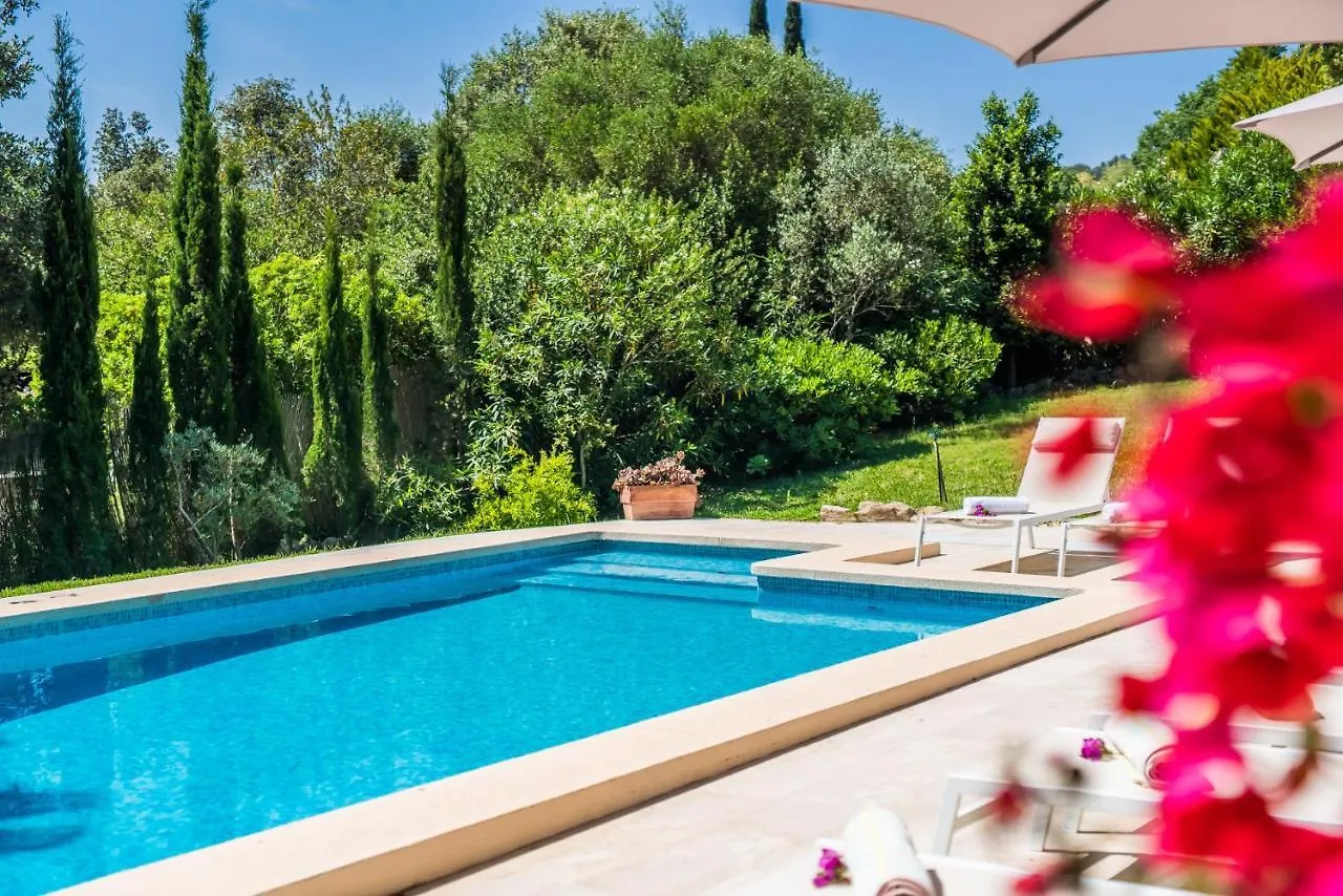 Ideal Property Mallorca - Villa Flores Crestatx