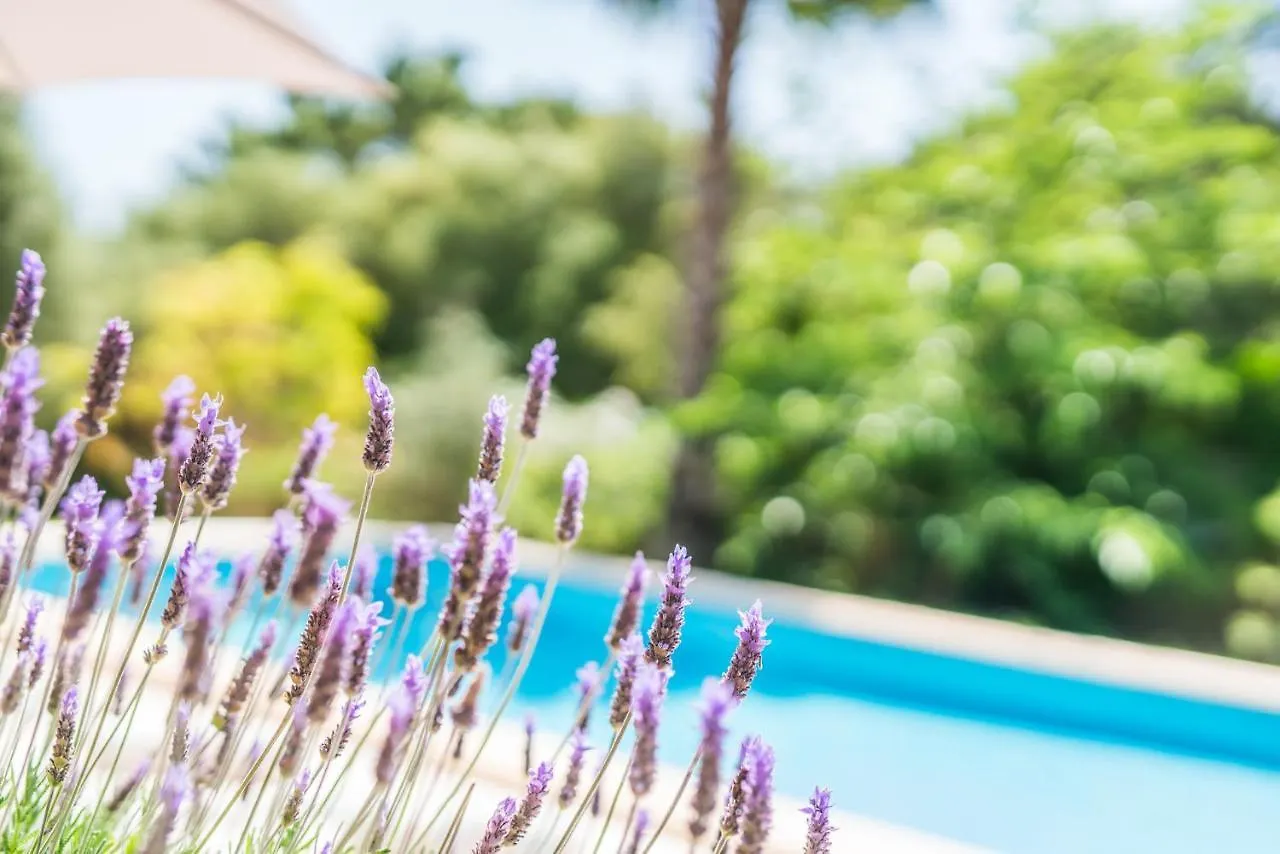 Ideal Property Mallorca - Villa Flores Crestatx 0*,  Spain